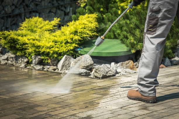 Best Fence Cleaning  in Auburn, IL