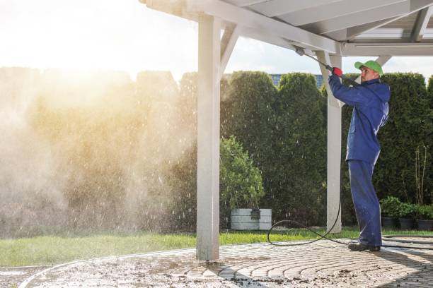 Trusted Auburn, IL Pressure Washing Services Experts