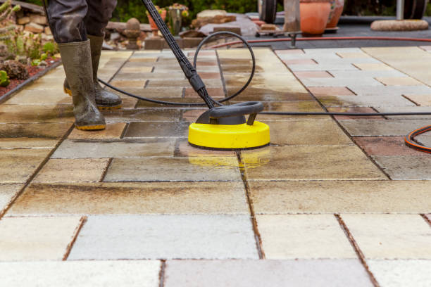 Best Roof Washing  in Auburn, IL