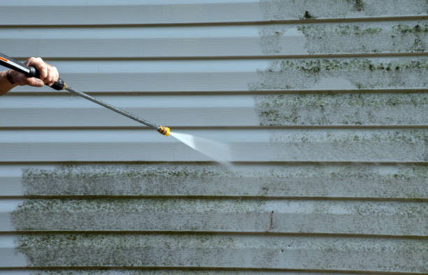 Best Parking Lot and Garage Cleaning  in Auburn, IL